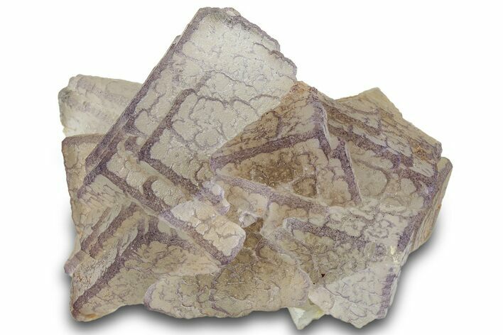 Purple Edge Fluorite - Qinglong Mine, China #295070